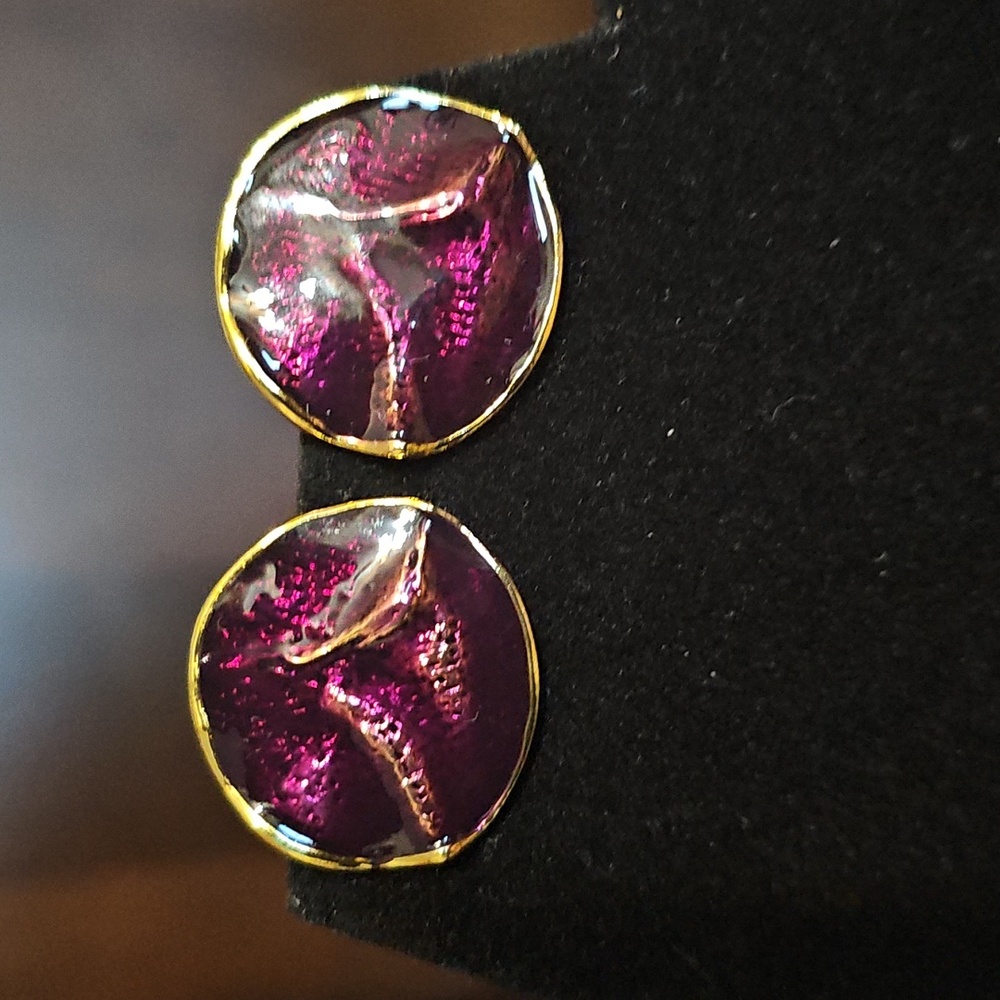 Sassy Jones Earrings (never worn)